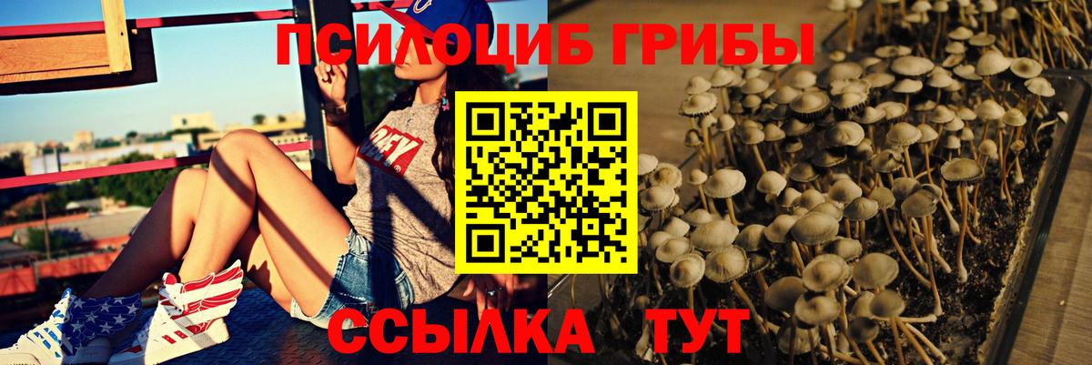 Псилоцибиновые грибы прущие грибы  Галлюциногенные грибы Cubensis  Саяногорск  Вход с VPN 
